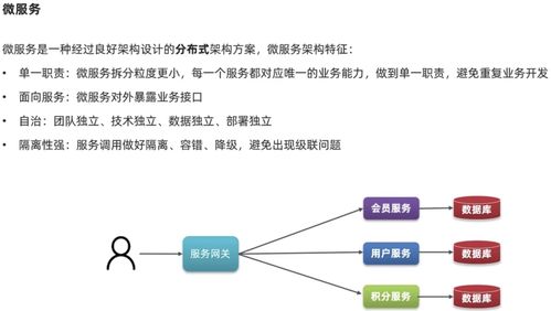 微服務(wù)基礎(chǔ)知識與唐山網(wǎng)絡(luò)技術(shù)服務(wù) 構(gòu)建現(xiàn)代化應(yīng)用架構(gòu)